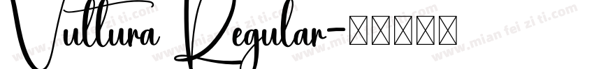 Vultura Regular字体转换